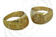 Anillos